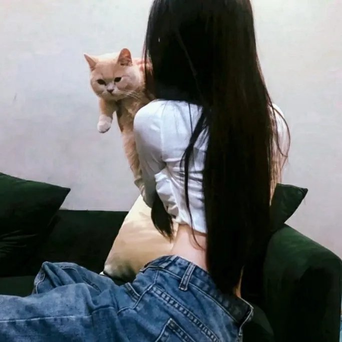 迎来黎明