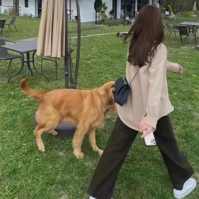 黑暗时代之无证妓女